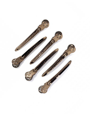 Beardburys AlumBeardburys inium hair clips (6 unidades)